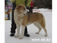 ���� �� ������������� �������