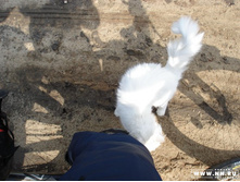 ������� ���