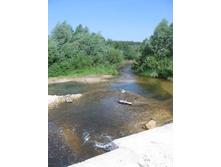 ����� ������ ����� ������