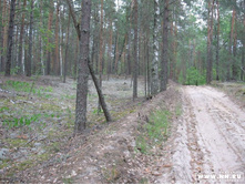 ������� �������