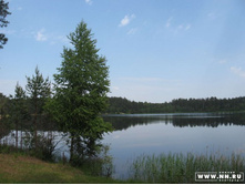 �� �������