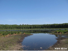 ����� ��� ��������