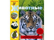 1036113 ����� ��������  - 270,81.jpg