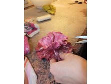 DSCF3691.JPG