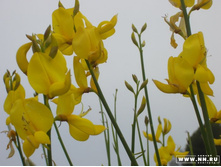 ������ 1