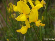 ������ 2