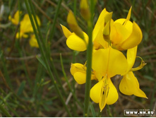 ������ 3