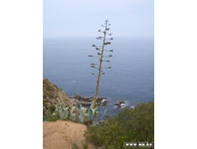 ���� �������