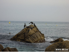 ������ ��������� ))