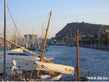 �����. ���� �������� ���