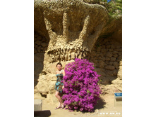 �����. ���� �����