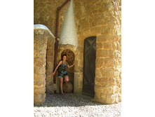 ��� ����� �����