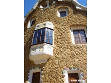 �����. ��� �����