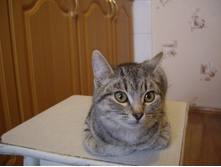 ����� 012.jpg