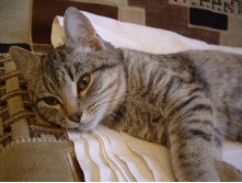 ����� 007.jpg