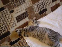 ����� 010.jpg