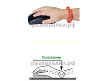 ������������ ������� �������.JPG