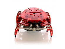 451-1241 �����-�����  \"����\" - 600 ���.