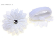 19.81 �� 6��