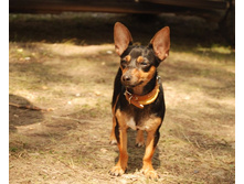 ������� � ������ ����