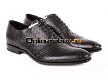 �07**03 ����� ��� FA*BI  �/� 2012  