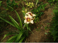 ��������� �����(No2-2,7)