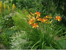 ����� ����*(�����. �����.+23�?(��� �����)