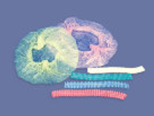 2,00 ���. + %, ������� ��� �������