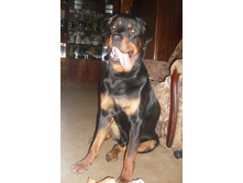 1 ��� 2 ���