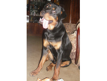 1 ��� 2 ���