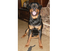 1 ��� 2 ���