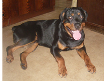 1 ��� 2 ���