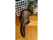 ��������� � �����