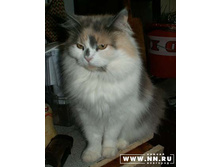 ���� ���� :)