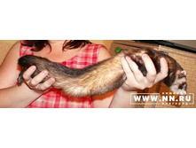 ���� � ����� :)