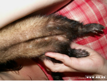 ������ :))