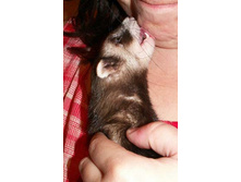 ���������