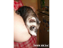 ���� ����!