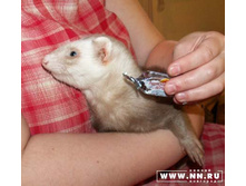 �����, ������ ��������!