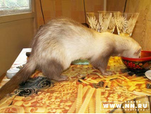 �������� �����!