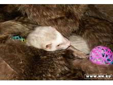 ��������....