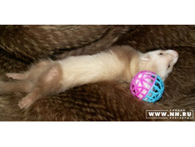 ��������!!!