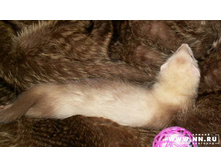 ���� ������� :)