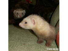 ������������