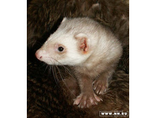 ��������� :)