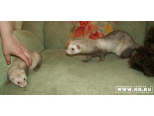 ����������