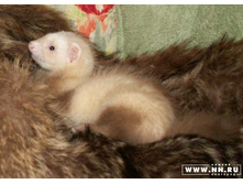 ������ :)