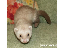 ��� ���?