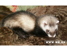 ��������� :)