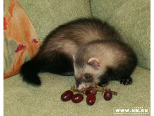 �-�! ��� �� ��� ����� ����������!